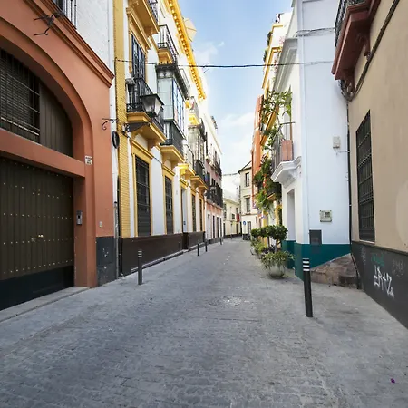 Alohamundi Quevedo Seville