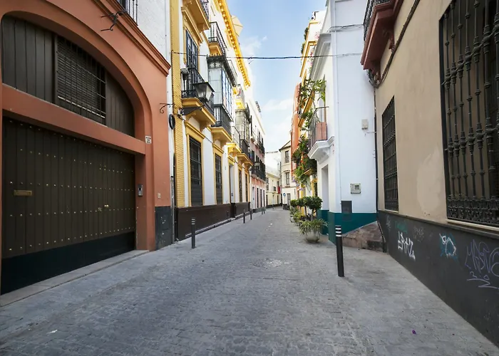 Alohamundi Quevedo Sevilla